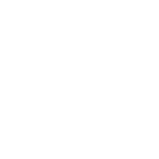 Diogosony's emblem