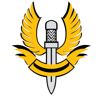 techrapidz's emblem