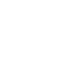 Borischter's emblem