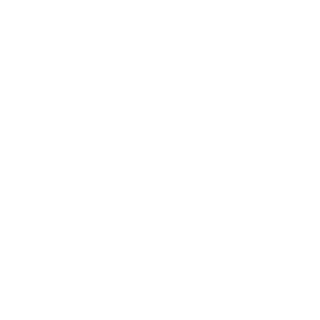 ANOMENATOR's emblem