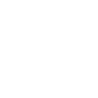 Dust4047's emblem