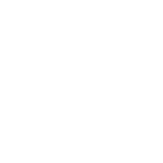 StonedViZioN's emblem