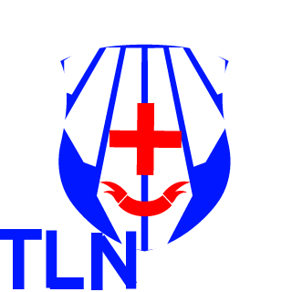 Night_Viper122's emblem