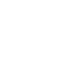 SirBrocks's emblem