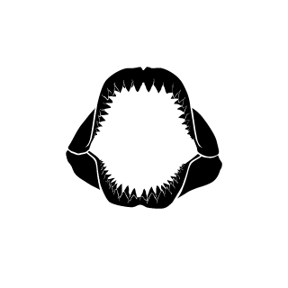 MRTJ99's emblem