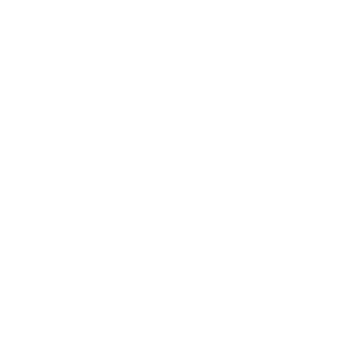 Elektronikarzt's emblem