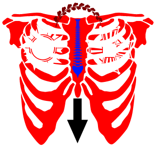 BarubarObameiro's emblem