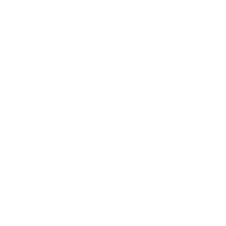 timon1pumba's emblem
