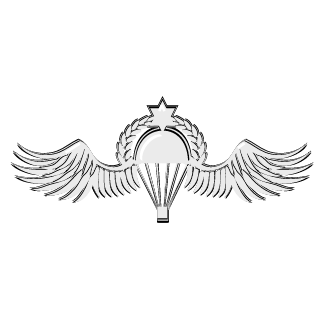 Sayeret_MatkaI's emblem