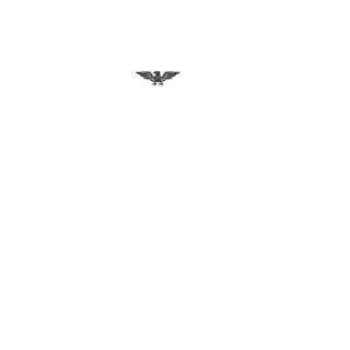 sgt_delit's emblem