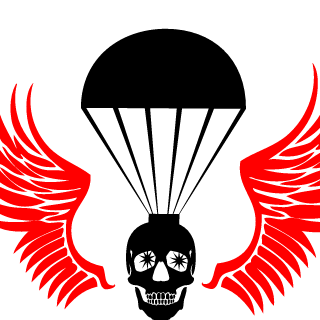 AIGLE111's emblem
