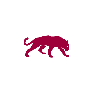 ICE_DarkStar1's emblem