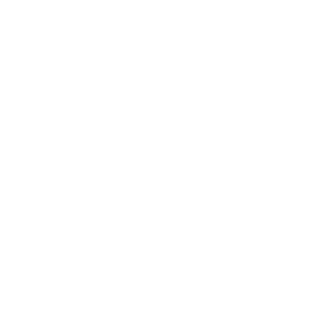 NaxonRO's emblem