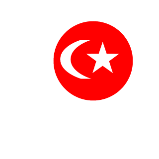 metehan3131's emblem