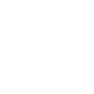 pan851's emblem