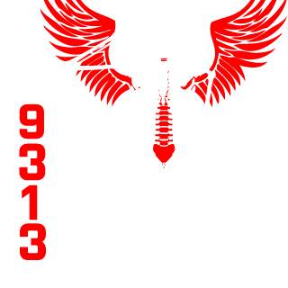 1a9f849e86545b32's emblem