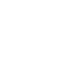 Lizard2441's emblem