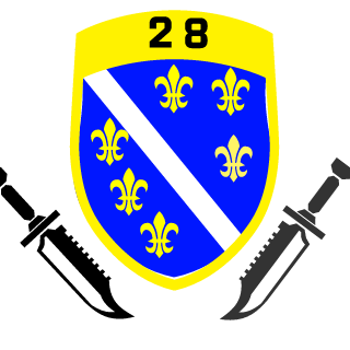 Alen BiH's emblem