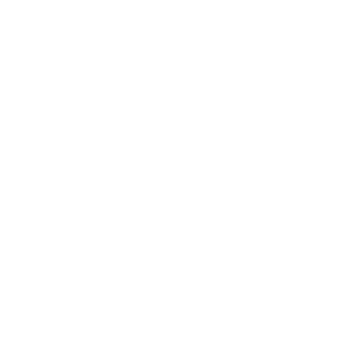 ponsi's emblem