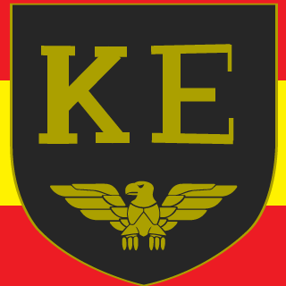 SkyNetRush's emblem