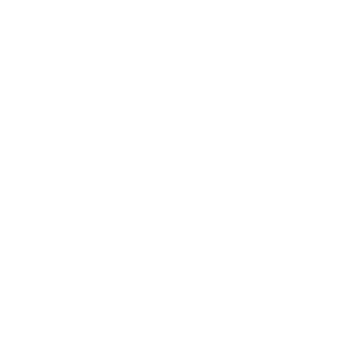 NAGAN_1996's emblem
