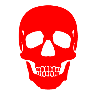 BeleaveIcanFly's emblem