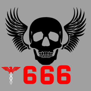 BinhoFazoURRO's emblem