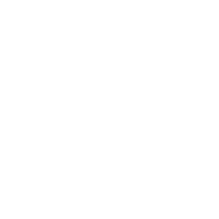EVA1_Driver's emblem