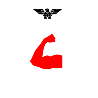 Nazar2508's emblem