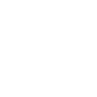 CarcerCityCam's emblem