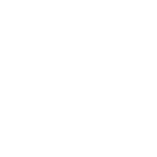 vacallkingg's emblem