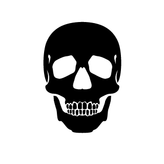 IRONSANTA12's emblem
