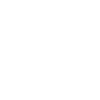 Raziel_skt1's emblem