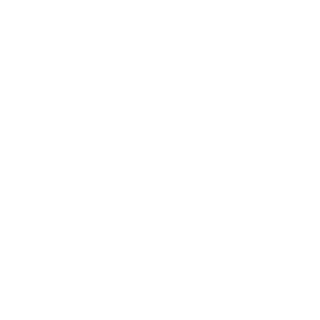 wulgarnytyp's emblem
