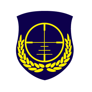Plasma125's emblem