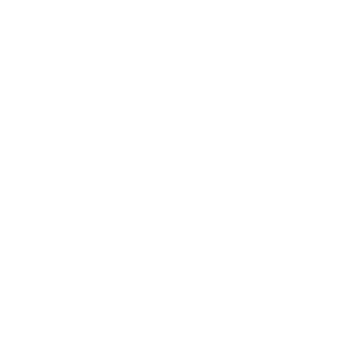 allchangee's emblem