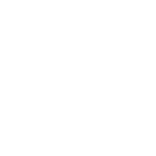 110iFabi's emblem