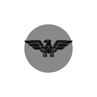 NintyHundred's emblem
