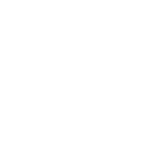Dr_Ninja1's emblem