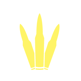 secretpatient's emblem