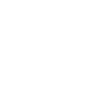 SERIIY's emblem