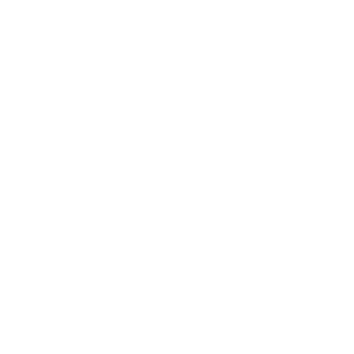 BTX21402's emblem