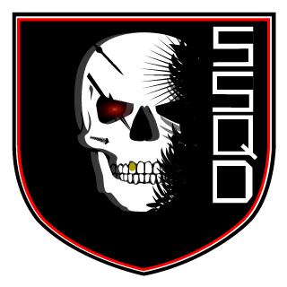 xViKINGx9's emblem