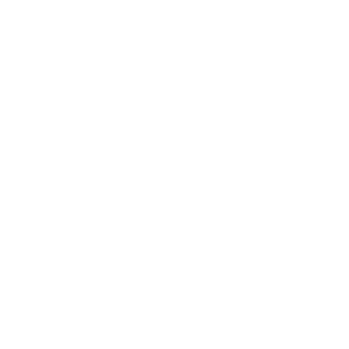 DanecCZ's emblem