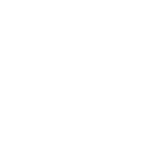 Nbbwarhammer's emblem