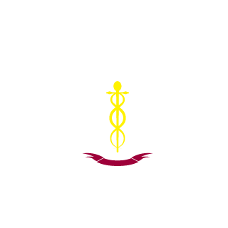 zuzan333's emblem
