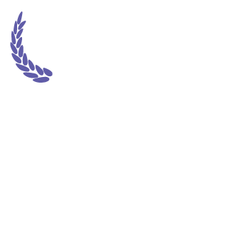 Danca33's emblem