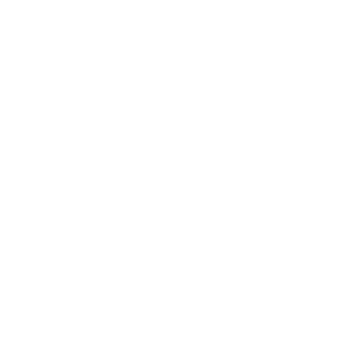 aanlthrasher69's emblem