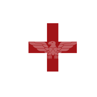 CegoDeOculos's emblem