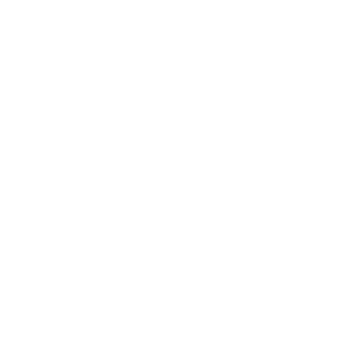 19Toasty86's emblem